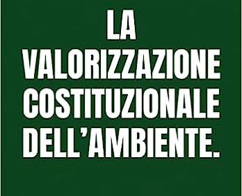 LA VALORIZZAZIONE COSTITUZIONALE DELL’AMBIENTE.
