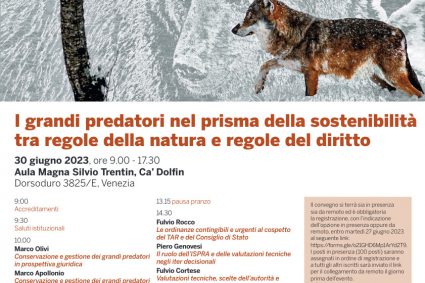 I GRANDI PREDATORI NEL PRISMA DELLA SOSTENIBILITÀ TRA REGOLE DELLA NATURA E REGOLE DEL DIRITTO.